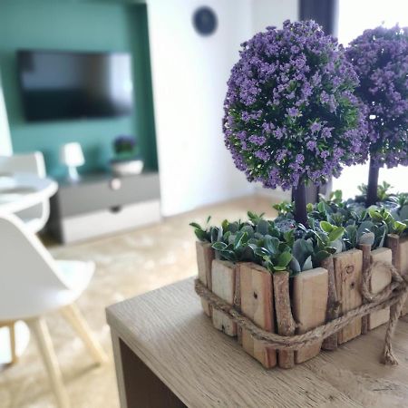 Apartament Karpaty كرينيتسا زدروي المظهر الخارجي الصورة