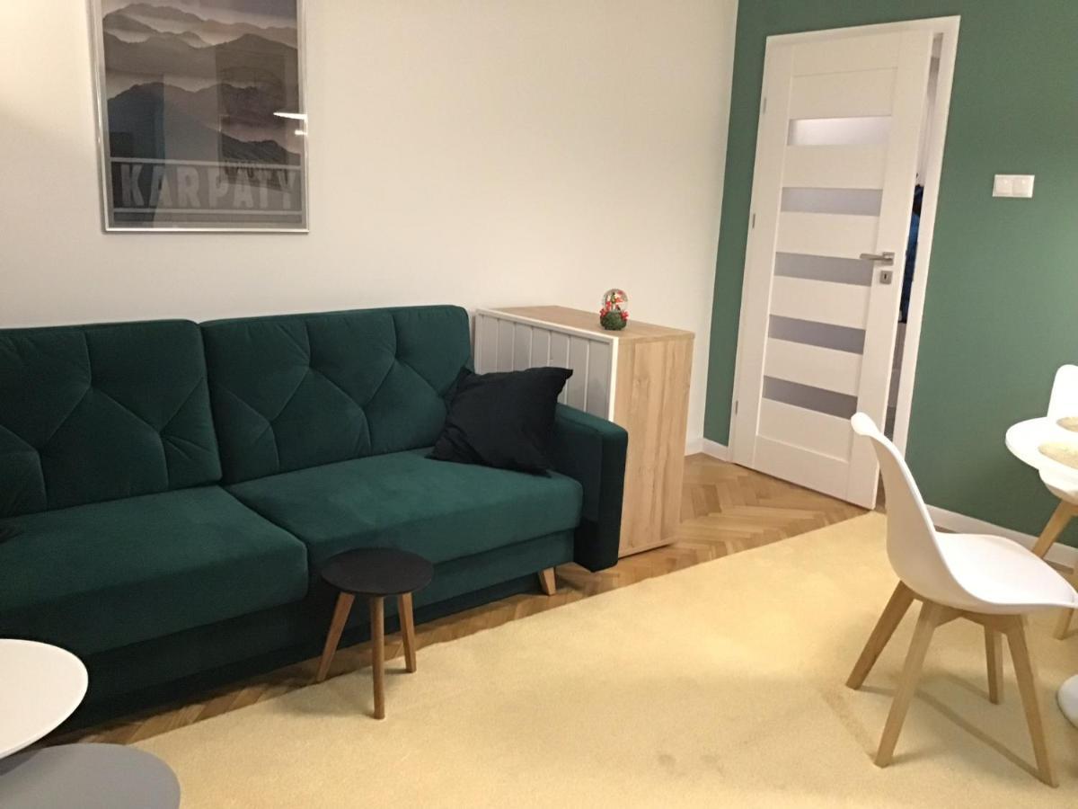 Apartament Karpaty كرينيتسا زدروي المظهر الخارجي الصورة