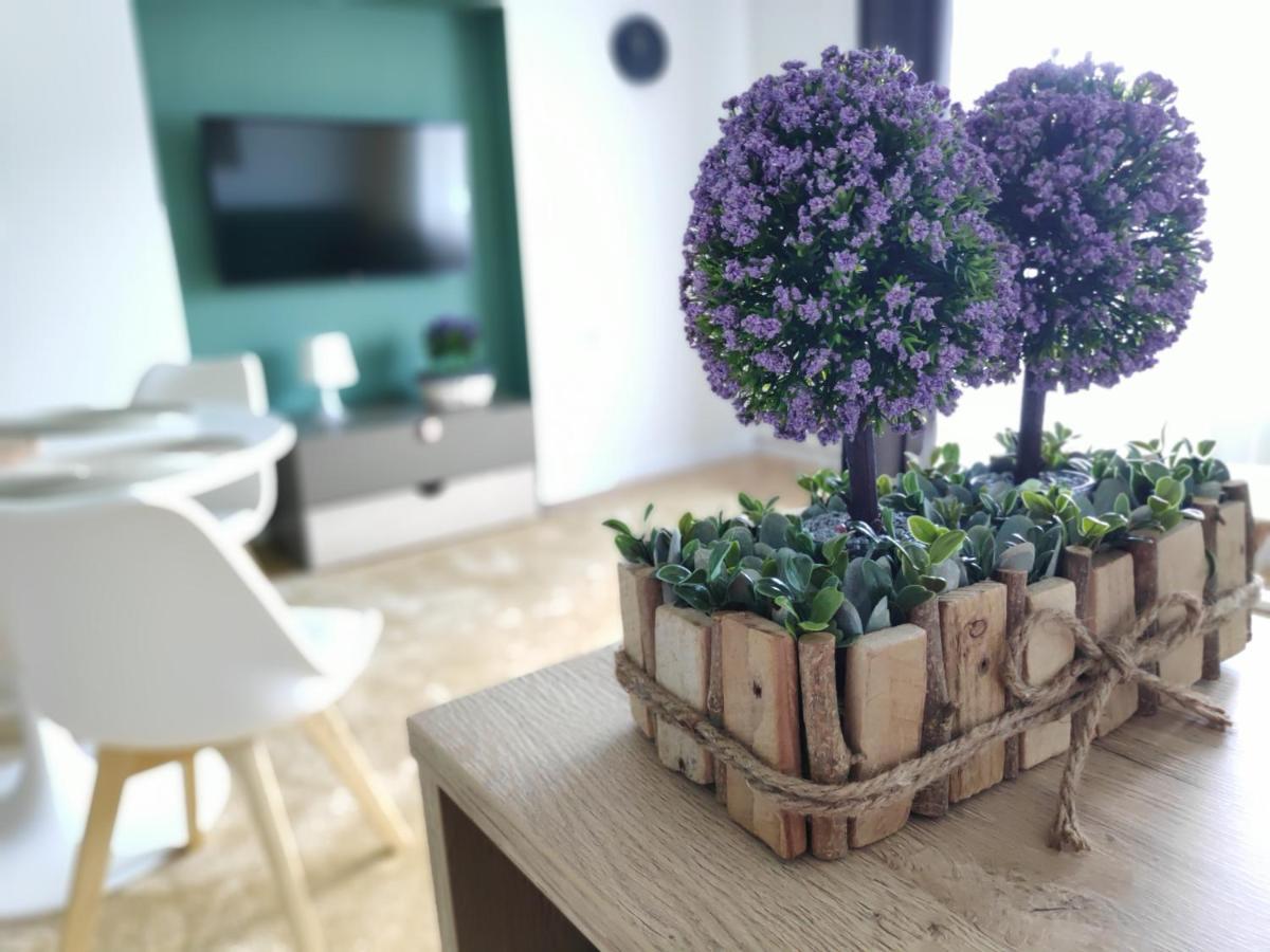 Apartament Karpaty كرينيتسا زدروي المظهر الخارجي الصورة